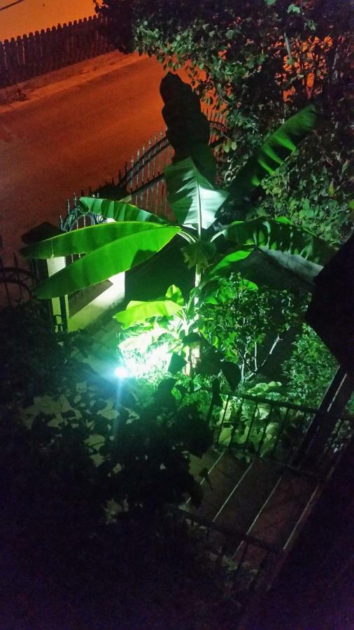Misko'S Guest House Scopia Exterior foto